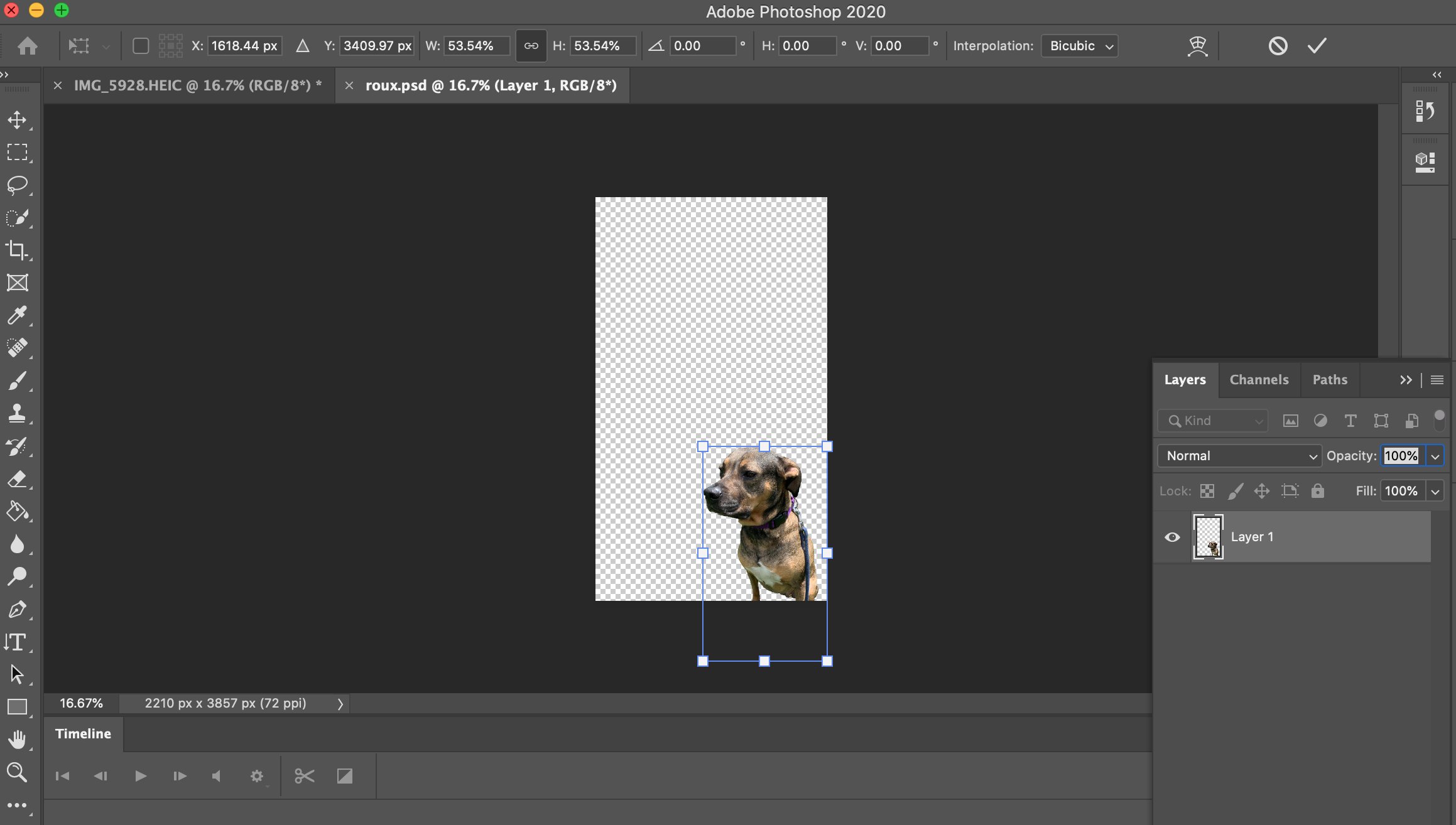 how-to-make-a-picture-bigger-in-photoshop-dsabanana