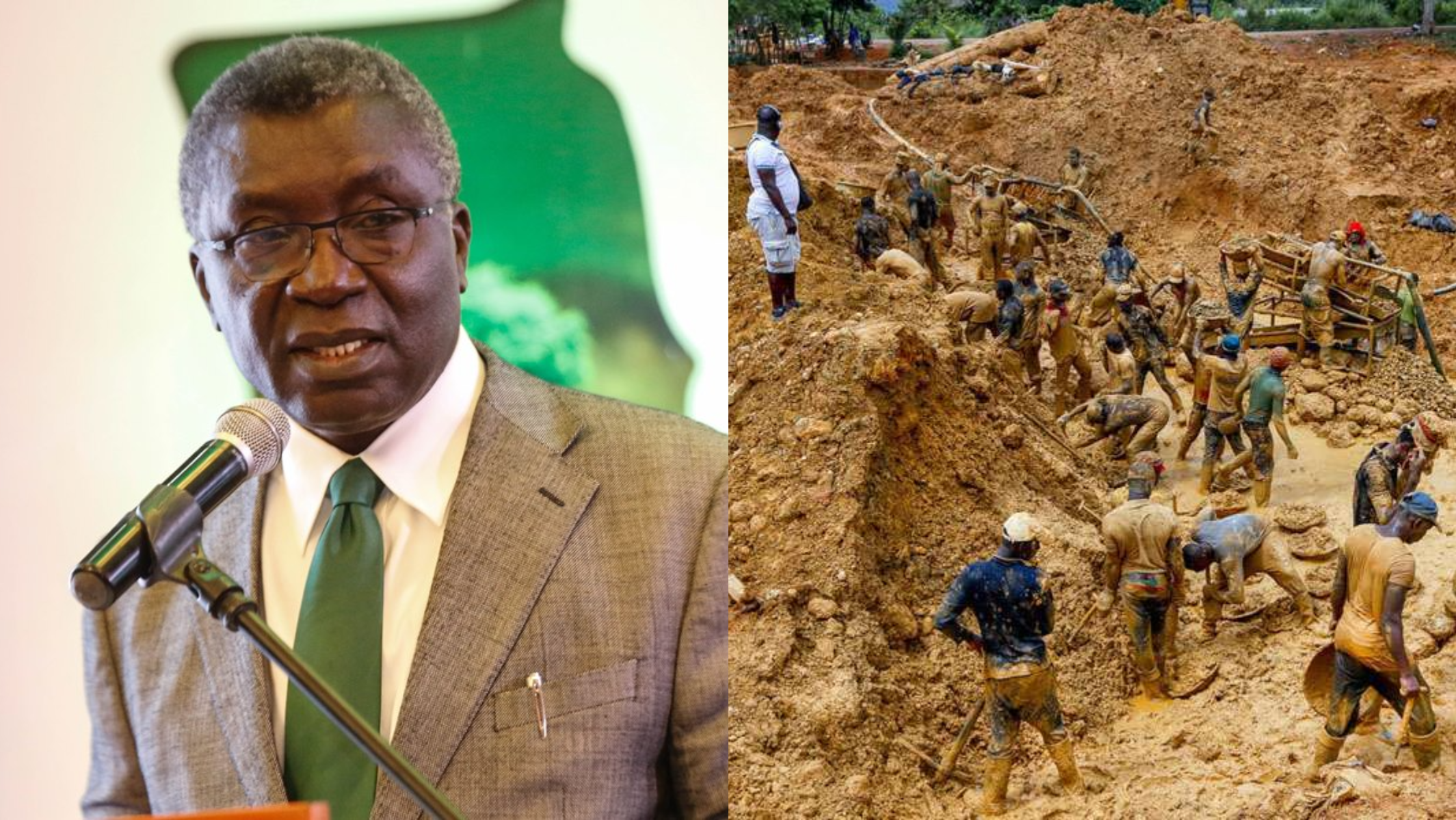 #StopGalamsey: Prof Frimpong-Boateng arrested