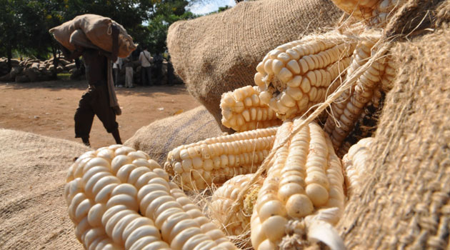 Maize export agreement: Kenya lifts ban on Uganda's exports | Business  Insider Africa