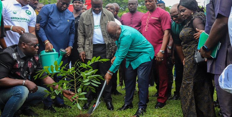 Green Ghana Day: 10 million seedlings to be planted