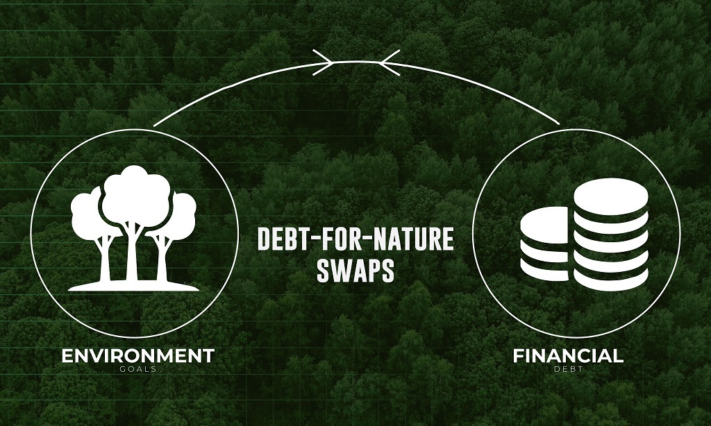 African Development Bank is looking to initiate the revolutionary debt-for-nature exchange program