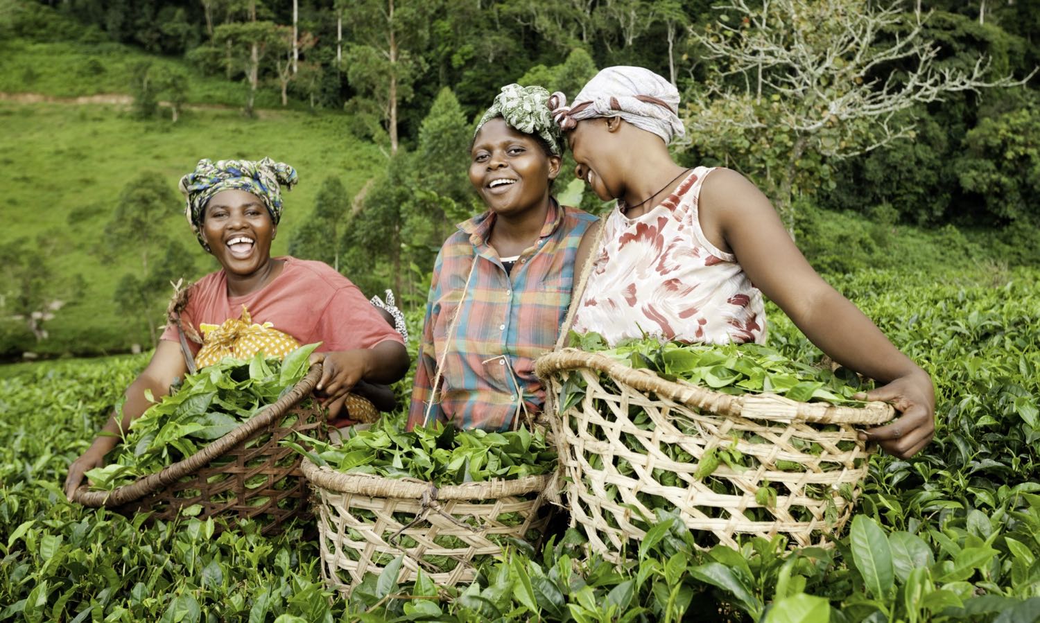 The Affirmative Finance Action for Women in Africa has hit $1 billion in funding capital for women entrepreneurs in Africa