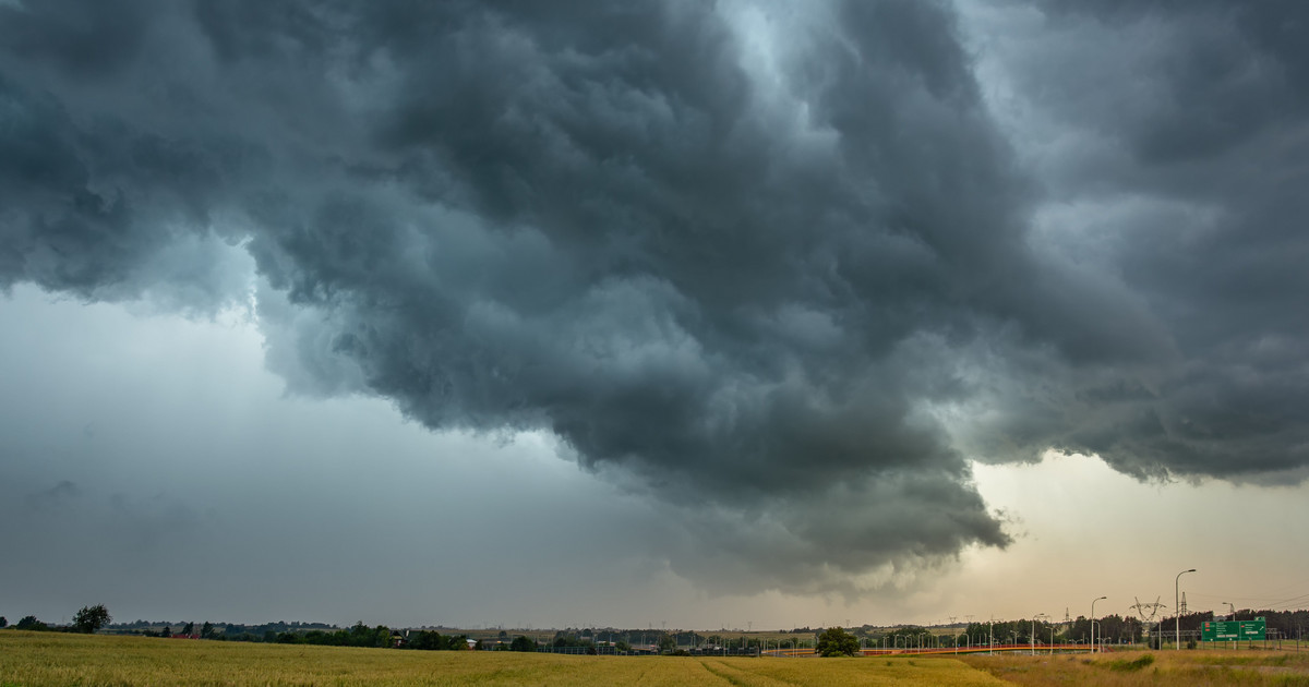 Rolnictwo w obliczu zmiany klimatu oraz jego dostosowanie do skutków kryzysu klimatycznego