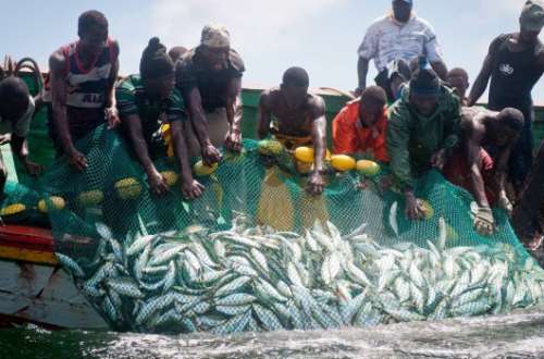 Jomoro girls engage in sex with fishermen for fish: \'It\'s a barter trade\'
