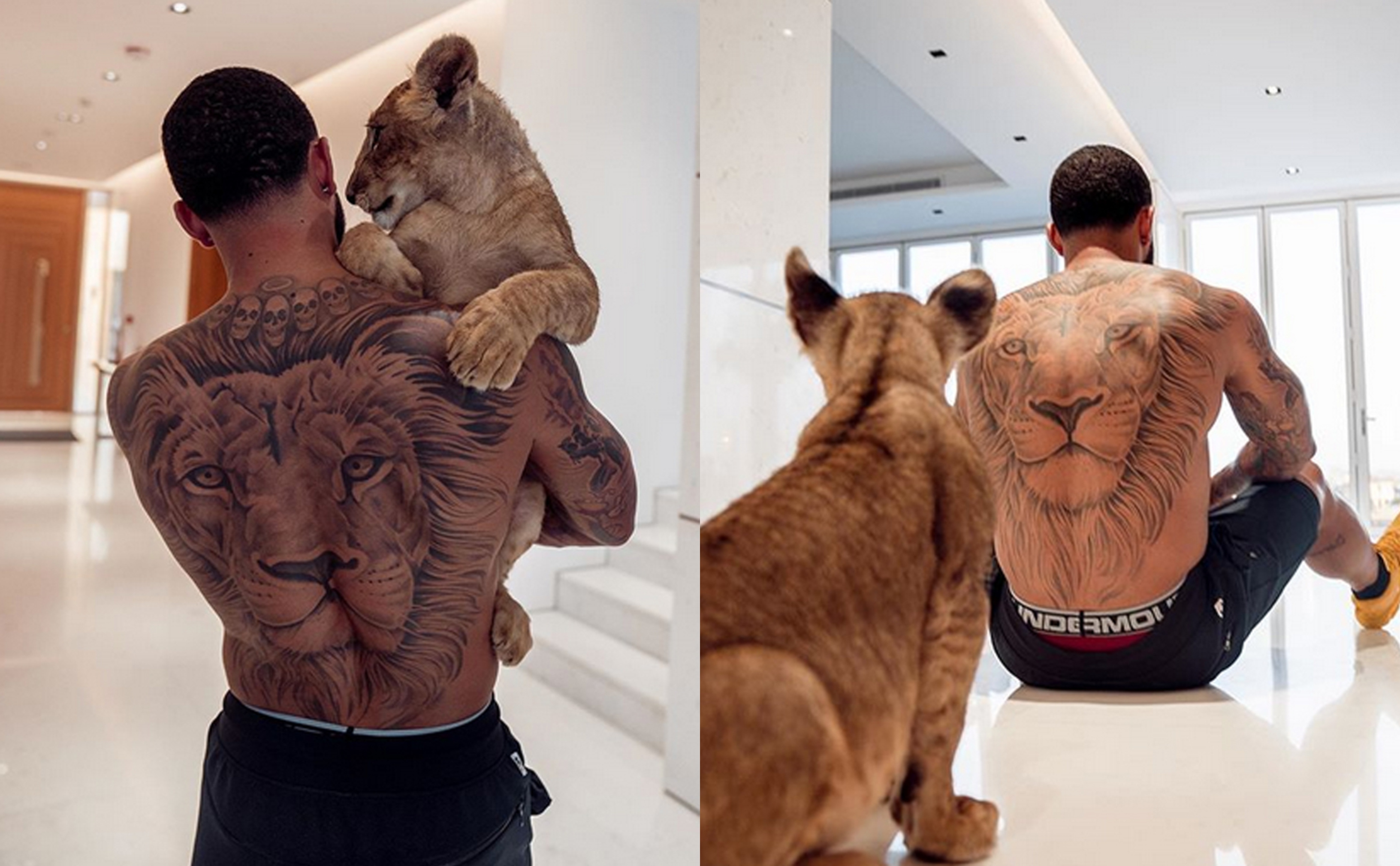 Why does Memphis Depay have a lion tattoo on his back? Netherlands