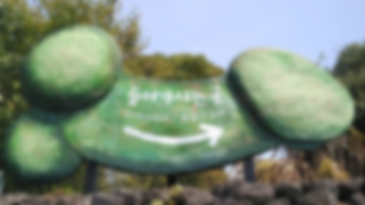 The park in Korea dedicated to sex education and eroticism