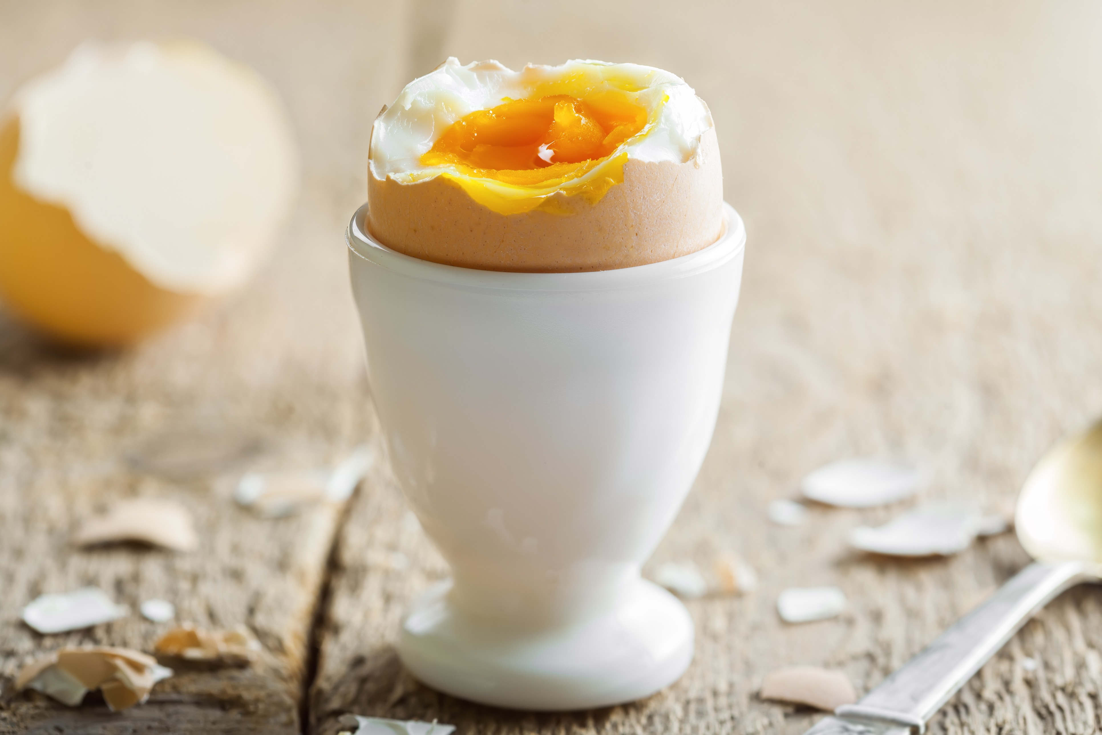 Wielkanoc 2023. Jak ugotować jajka na miękko, na twardo, mollet. Radzi  Magda Gessler | Newsweek