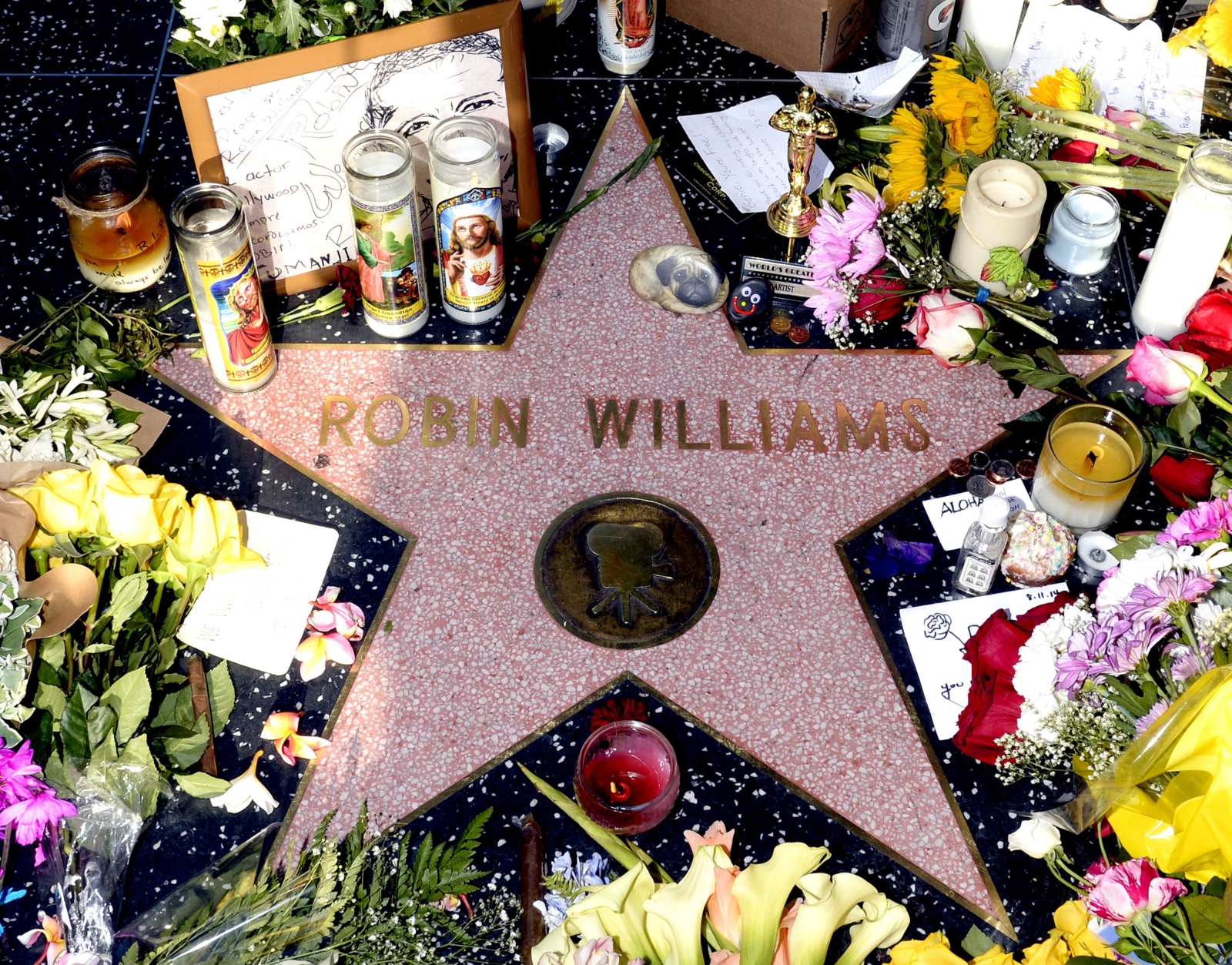 Gwiazda Robina Williamsa w hollywoodzkiej Alei Sław