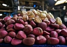Un produit euphorisant et aphrodisiaque » : en Côte d'Ivoire, la production  de noix de cola explose