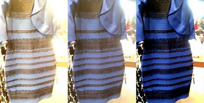 Tajemnica koloru sukienki rozszyfrowana | Newsweek