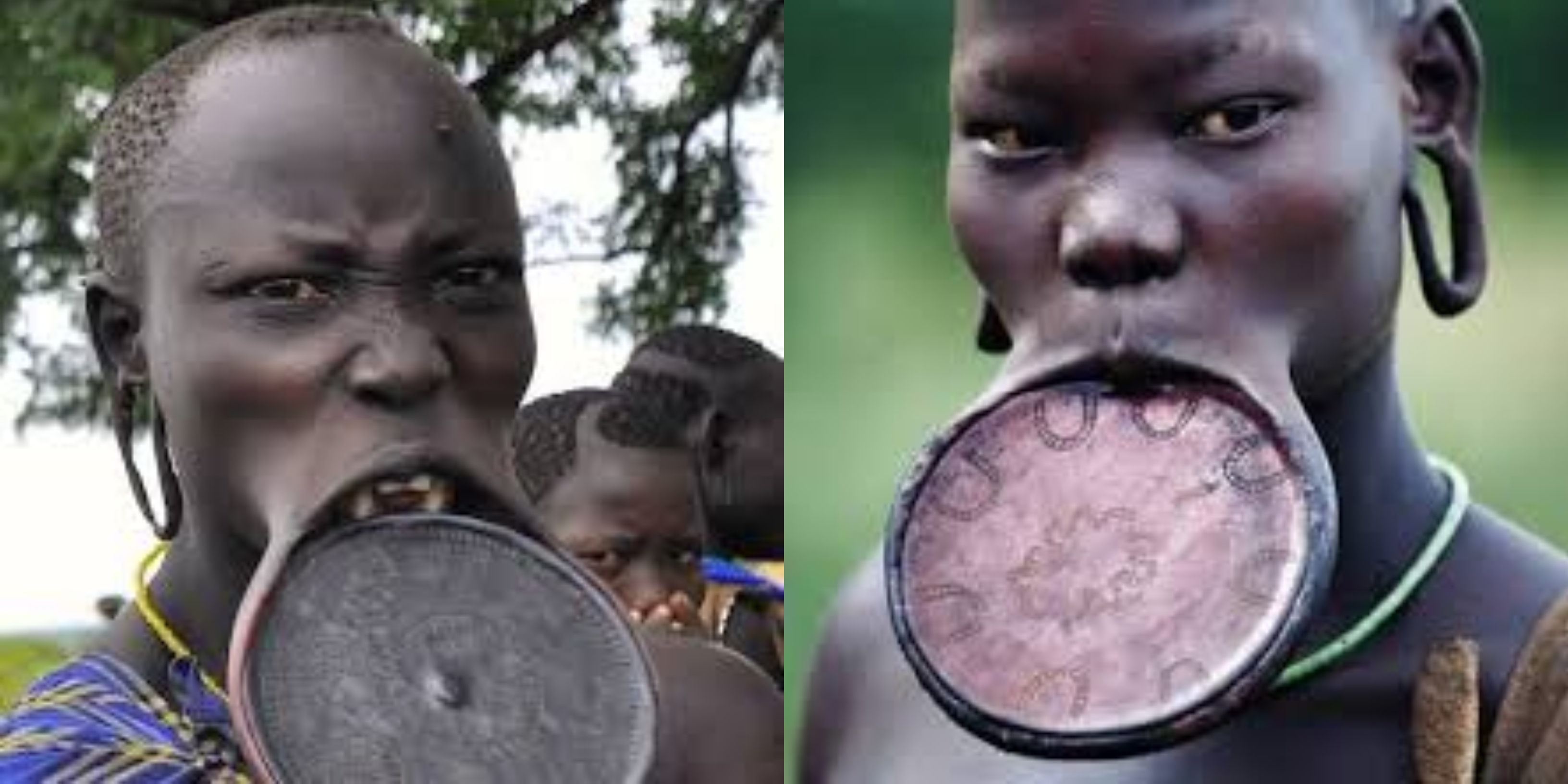 Why girls of the Mursi tribe must remove their teeth and stretch their lips  before they marry | Pulse Nigeria