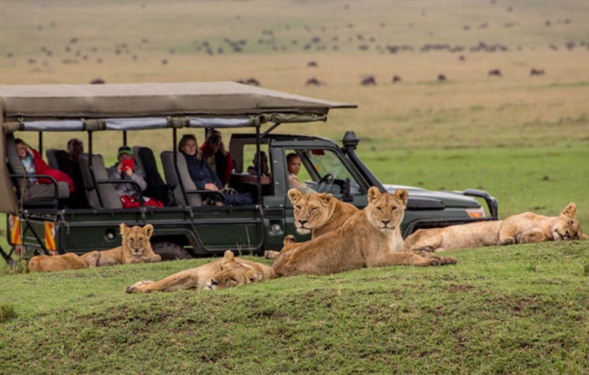 From Ghana to Kenya - How we planned our 3 days Masai Mara Safari