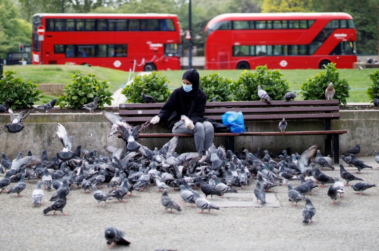 Feeding pigeons is an offence in Singapore (Image used for illustration) [Marble Arch]