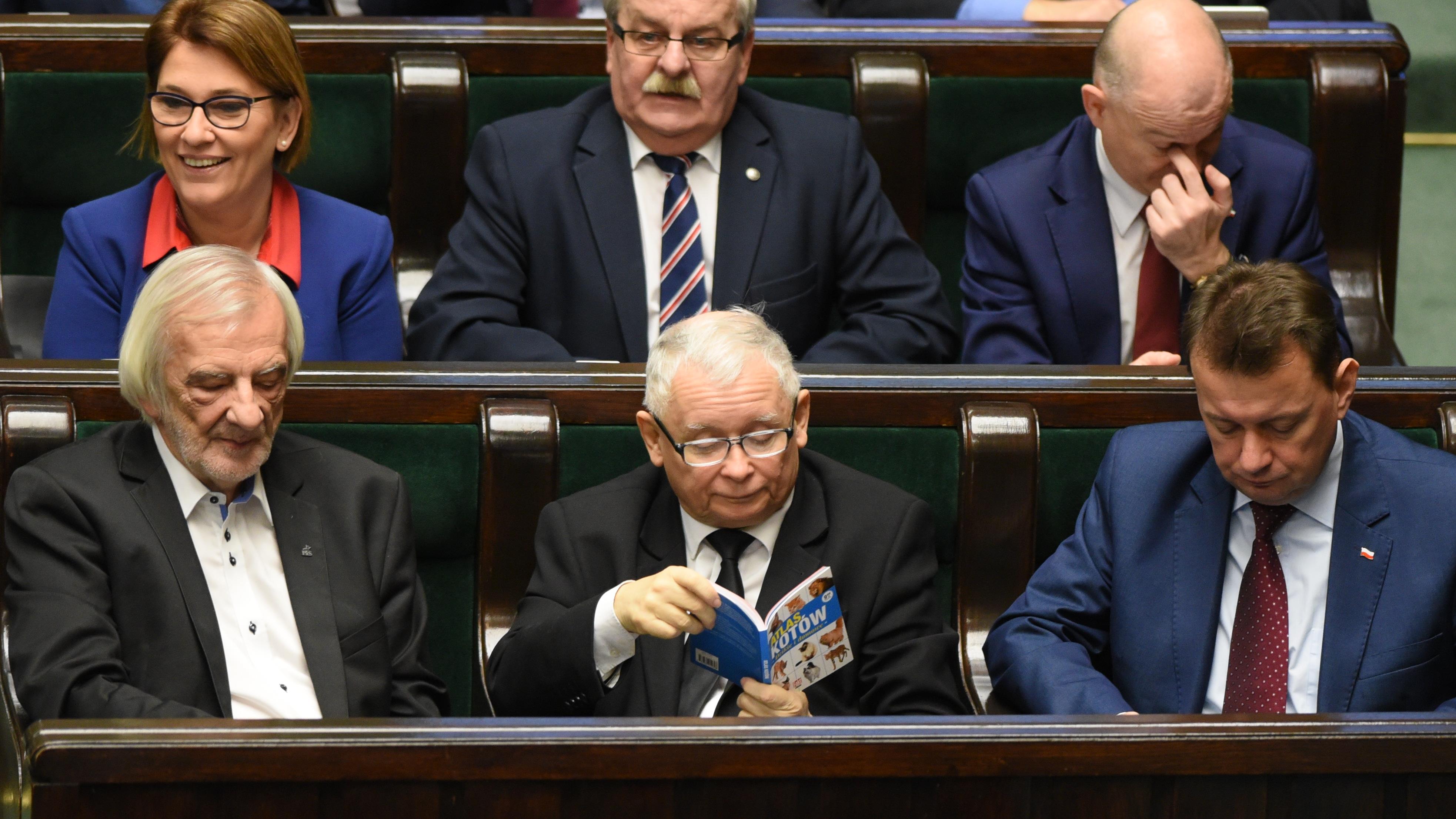 Prezes Pis Czytal Atlas O Kotach Faktu