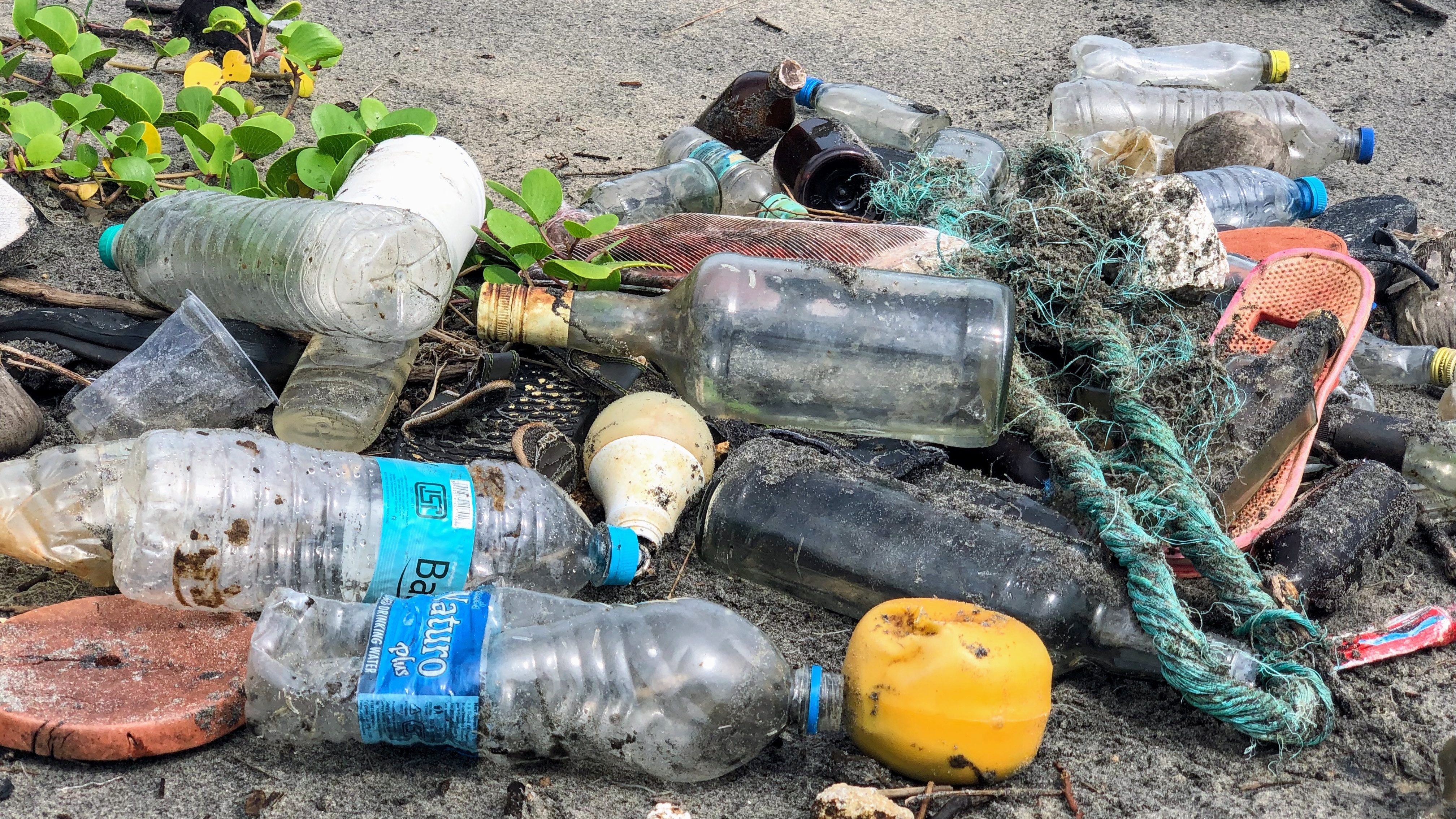 Slikovni rezultat za 6 Kilo Plastikmüll im Magen