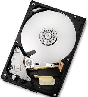 Hitachi Deskstar 7K1000 HDS721010CLA632