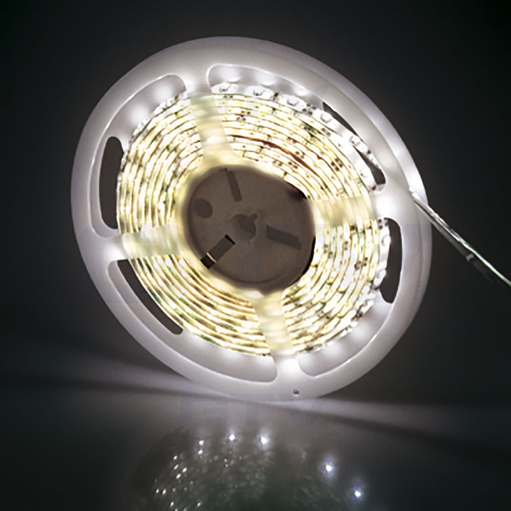 GTV Taśma LED / zimna biała / 36 W / 5 m / 300LED / 12 V / IP65 /