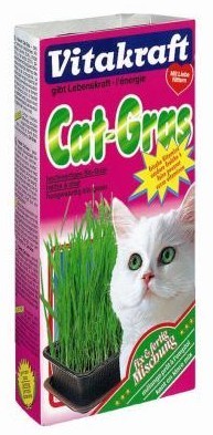 Vitakraft Cat-Gras Trawa Dla Kota 120G [26547]