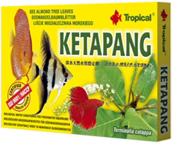 Tropical Ketapang liście migdałowca morskiego środek antybakteryjny 6 saszetek