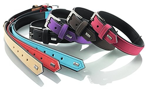 Hunter Halsband Softie 40 Nickelart-Nubuk Himbeer/Nappa Schwarz, 28-34 Cm