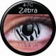 Maxvue Vision Crazy Wild Eyes - Zebra 2 szt.