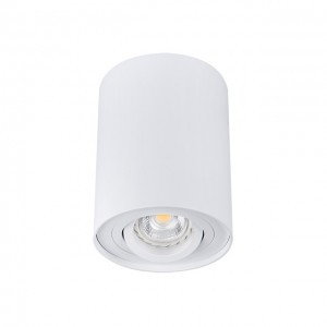 Kanlux Bord Lampa sufitowa 1-punktowa Biały DLP-50-W 22551
