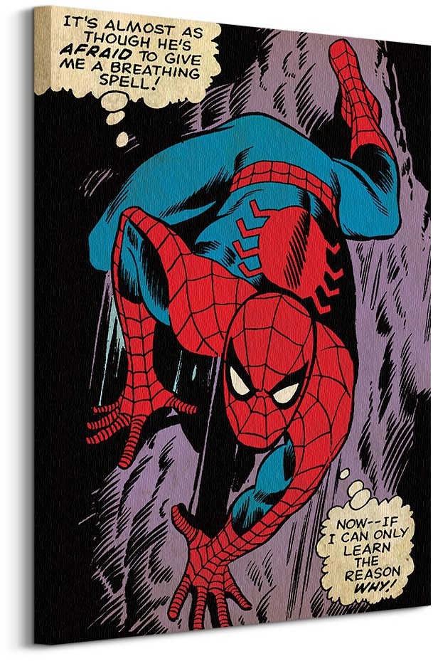 Pyramid Posters Spiderman (Reason Why) - Obraz na płótnie WDC90944