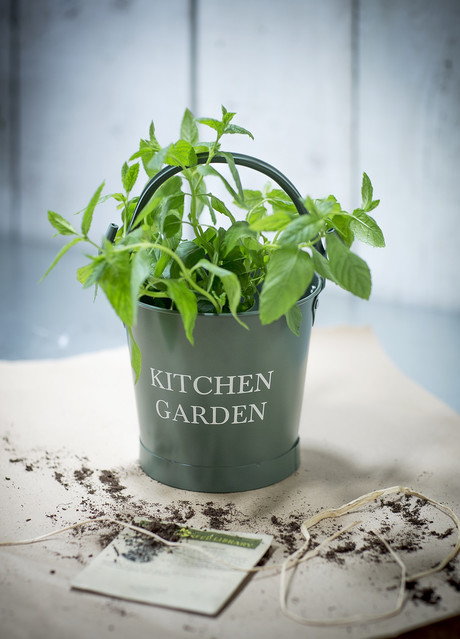 Garden Trading Wiadro Kitchen Garden KBTY01