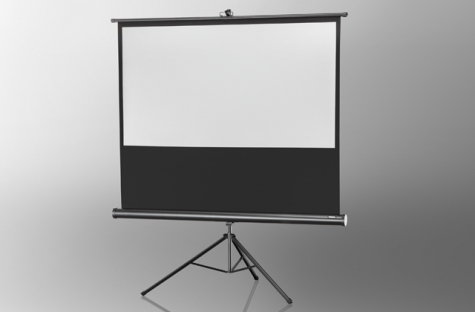 Celexon Economy (133x100) (1090040)