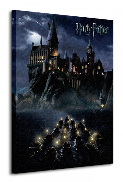 Art group Digital Harry Potter (Hogwarts School) - Obraz na płótnie WDC90517