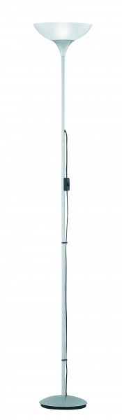 Reality DEZWO lampa stojąca Tytan, 1-punktowy R4302-87