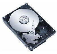 Seagate ST3320613AS