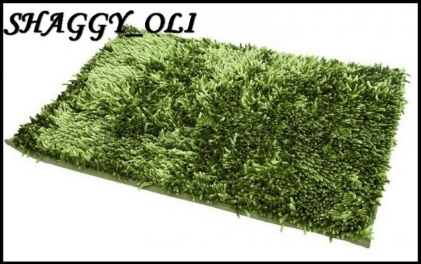 Mówisz i Masz Dywan 60 x 90 Łazienkowy Euro - DY Shaggy Oliw 62706