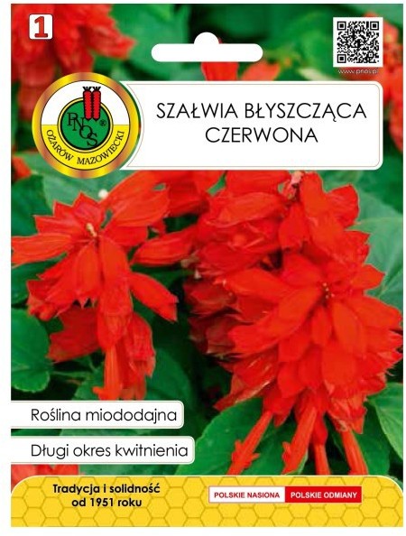Nasiona szałwia błyszcząca czerwona 0 5 g