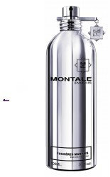 Montale Fougeres Marines Woda perfumowana 100ml