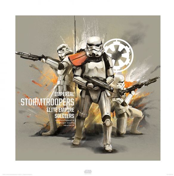 Pyramid Posters Star Wars Rogue One Szturmowcy - reprodukcja (PPR40891)