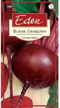 Eden BURAK ĆWIKŁOWY CZERWONA KULA 2 73164485