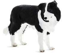 Animal Planet Pies rasy Border Collie