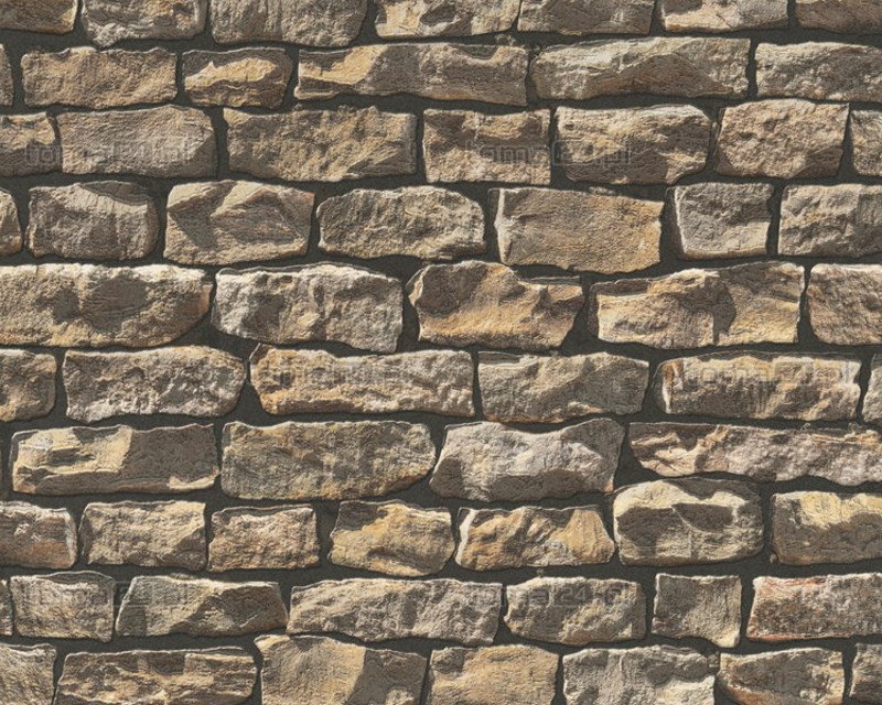 A.S. Creation Tapeta ścienna Wood and Stone 907912