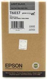 Epson T603700
