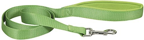 CHAPUIS SELLERIE Chapuis Sellerie Sla253 Hundeleine - Komfort-Nylongurt Grün - Breite 25 Mm - Länge 120 Cm - Größe