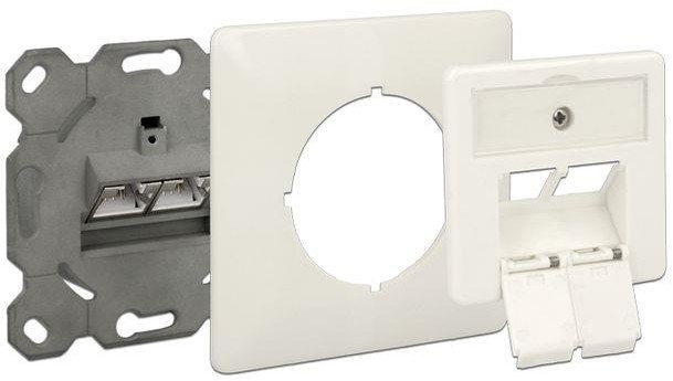 Delock gniazdko podtynkowe Podwójne 2x LSA Block -> 2x RJ45 kat. 6a 86195