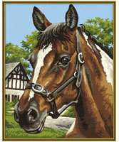 Schipper Malowanie obrazów - Portret konia 609240381