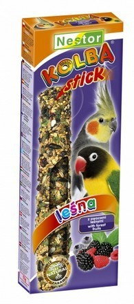 Nestor Kolba Średnia papuga Kolba owocowa 8578
