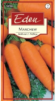 Eden MARCHEW BERLICUMER 2 PERFEKCJA 73668493