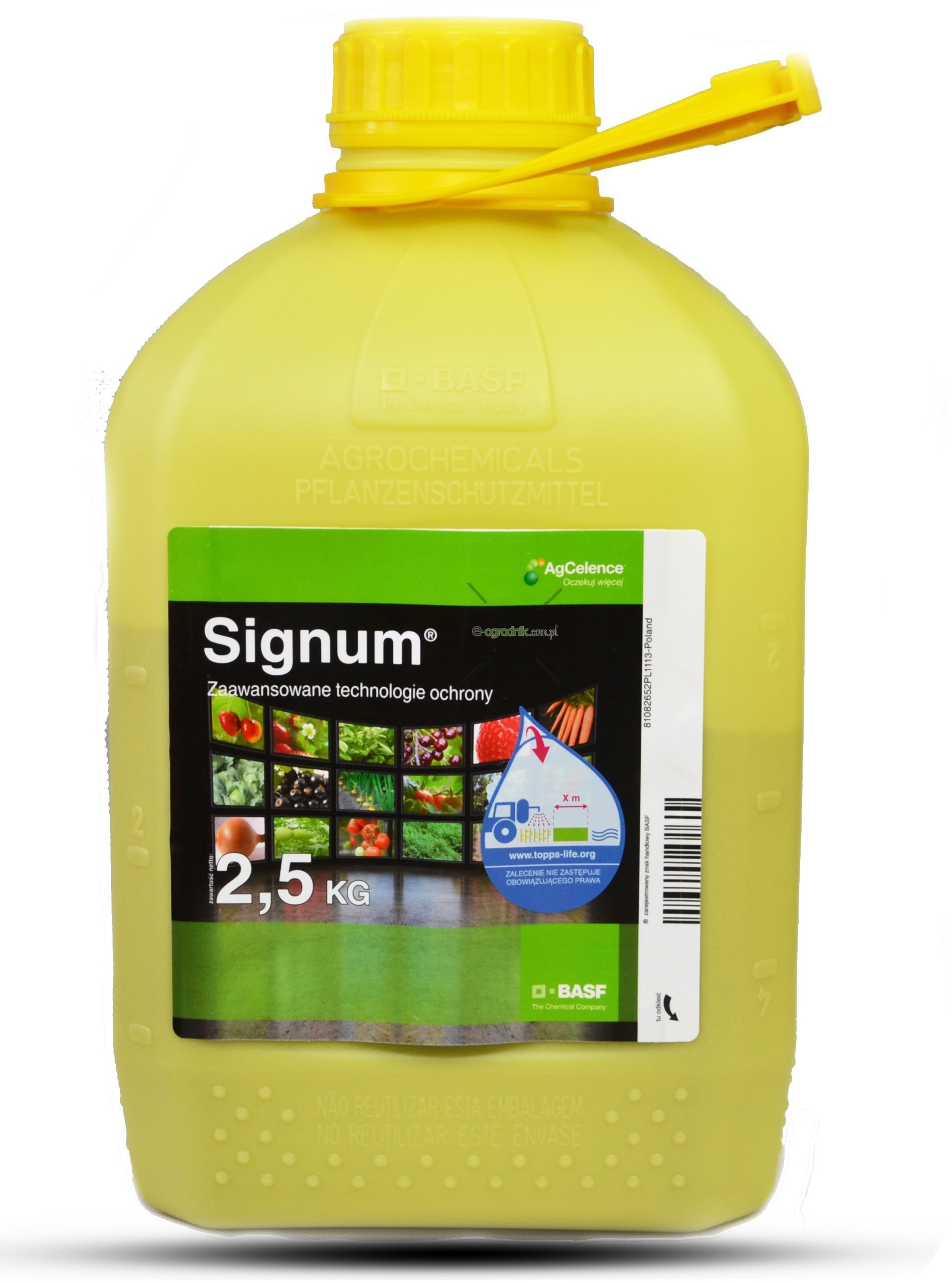 SIGNUM 33WG 500G
