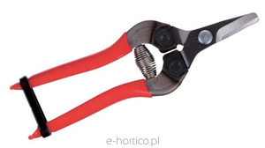 EUROFLORA ARS 310