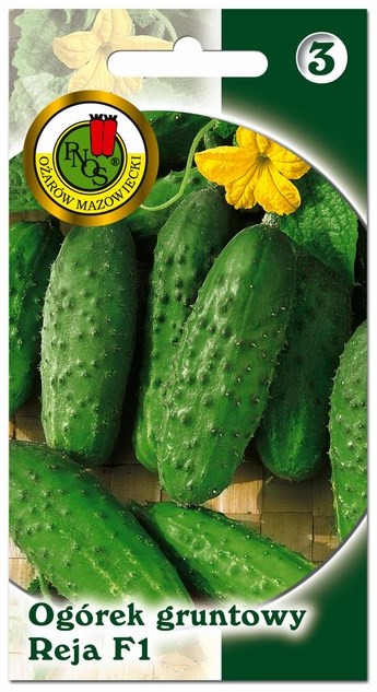 Nasiona ogórek gruntowy Reja F1 grupa III 2 g