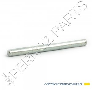 NEW HOLLAND / CASE SWORZEŃ M7.6X100 ZAWIASU DRZWI 83994405