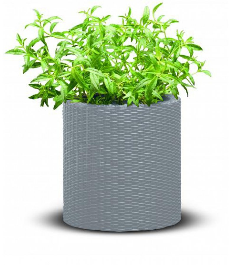 Keter Doniczka Cylinder Planter 224124